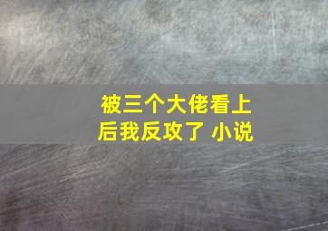 被三个大佬看上后我反攻了 小说